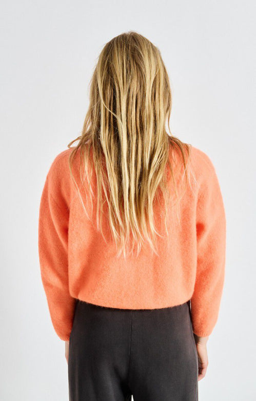 VITO19E Carrot