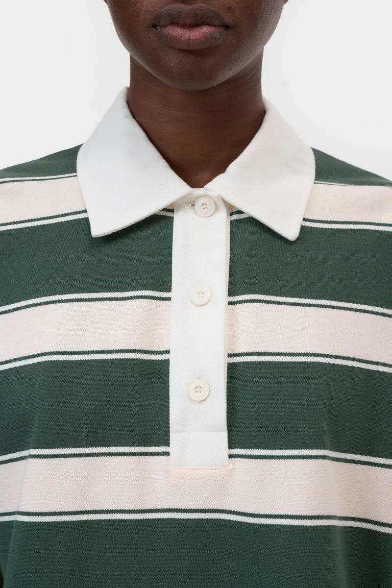 C95178 Polo stripes Dark green/light pink