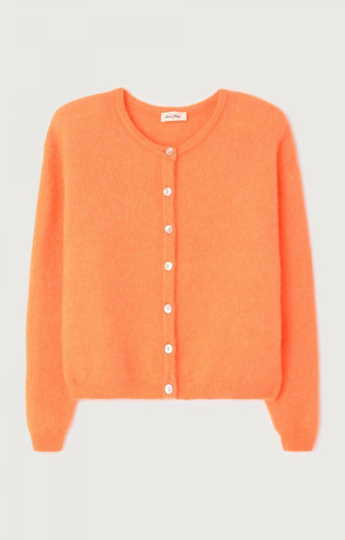 VITO19E Carrot